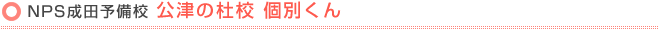 NPS成田予備校 【個別くん】 公津の杜校